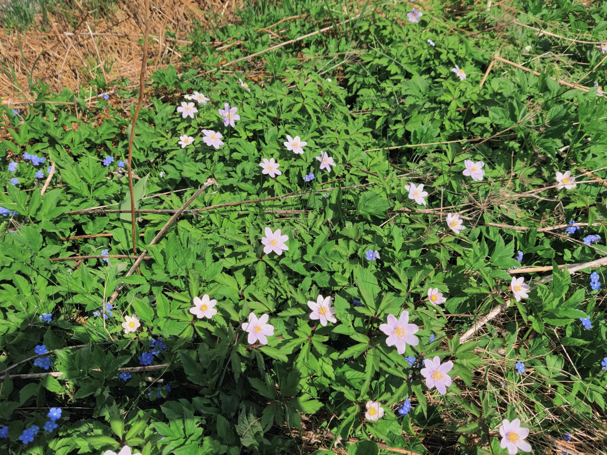 Valokuvaaja: Markku Mäkinen Valokuvaaja: Markku Mäkinen