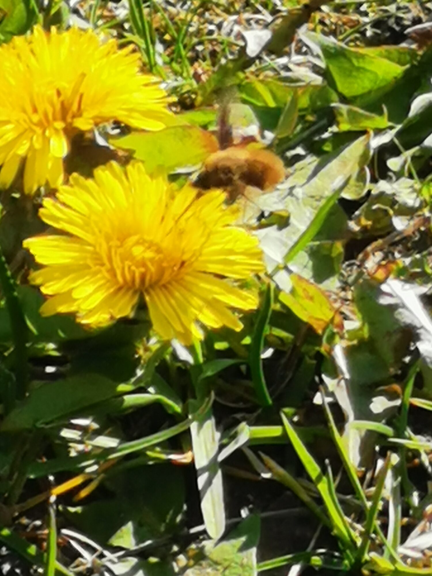 Valokuvaaja: Susanna Vasara