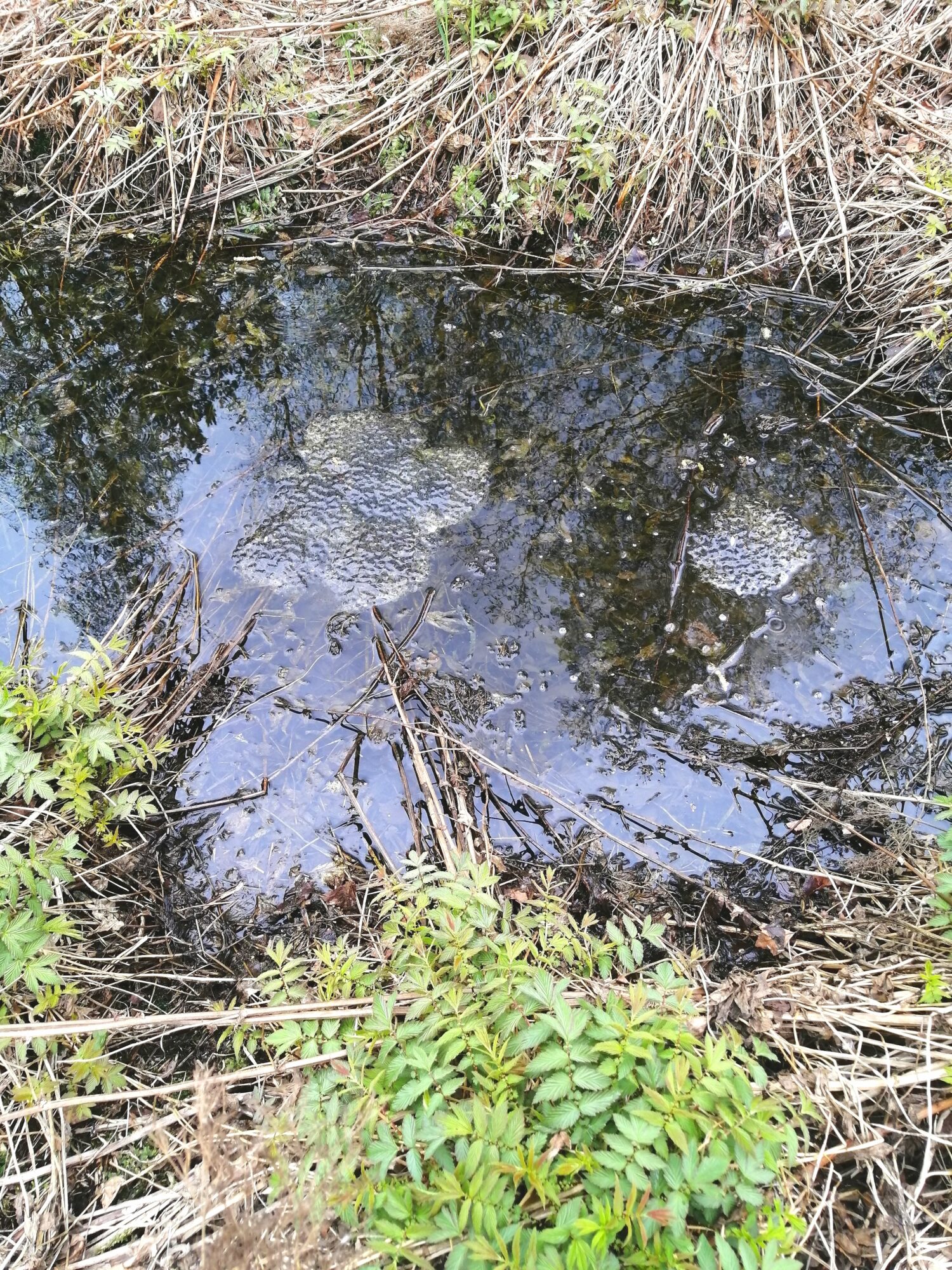 Valokuvaaja: Anni Karttunen