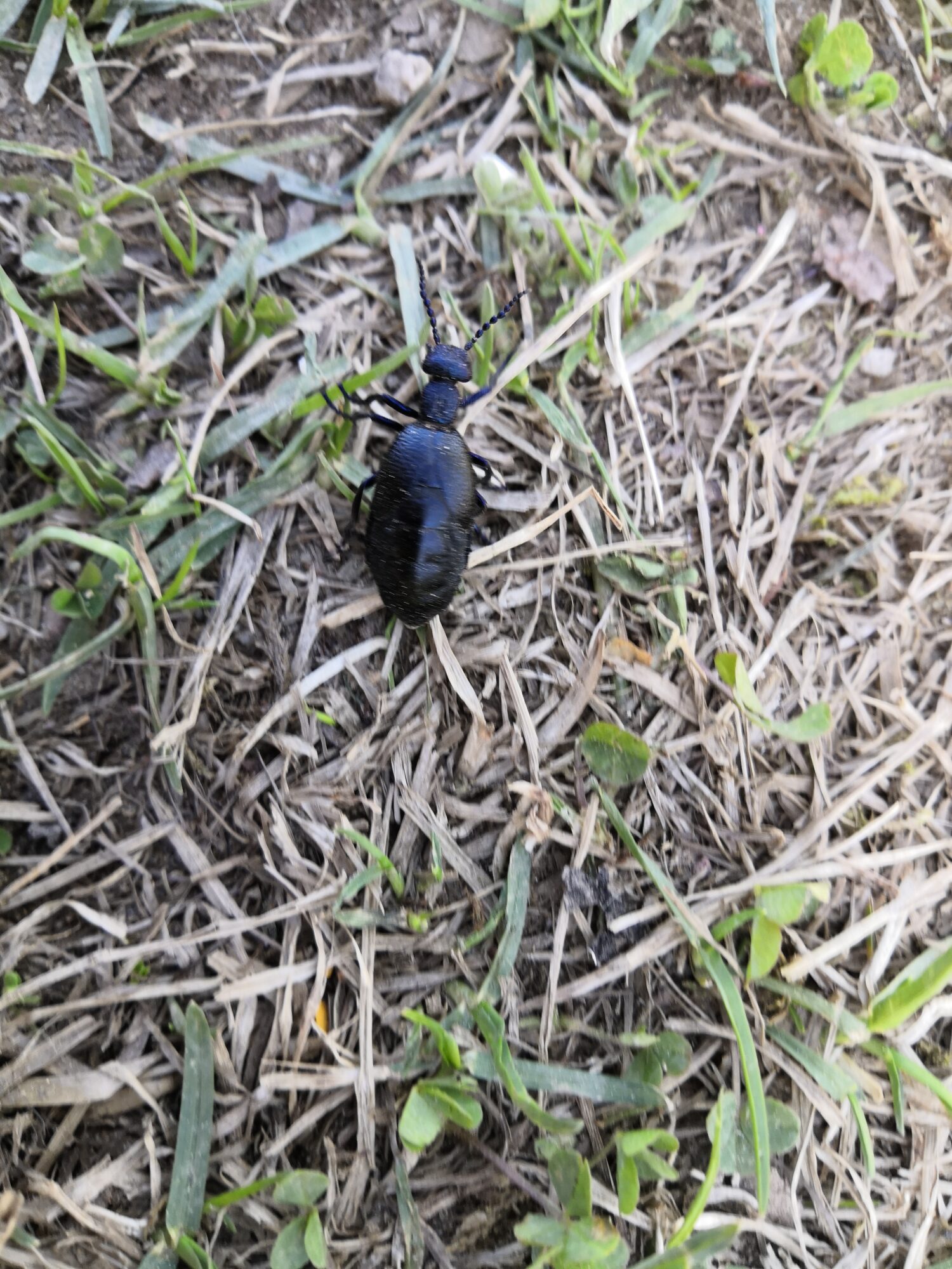 Valokuvaaja: Tuuli Kleme