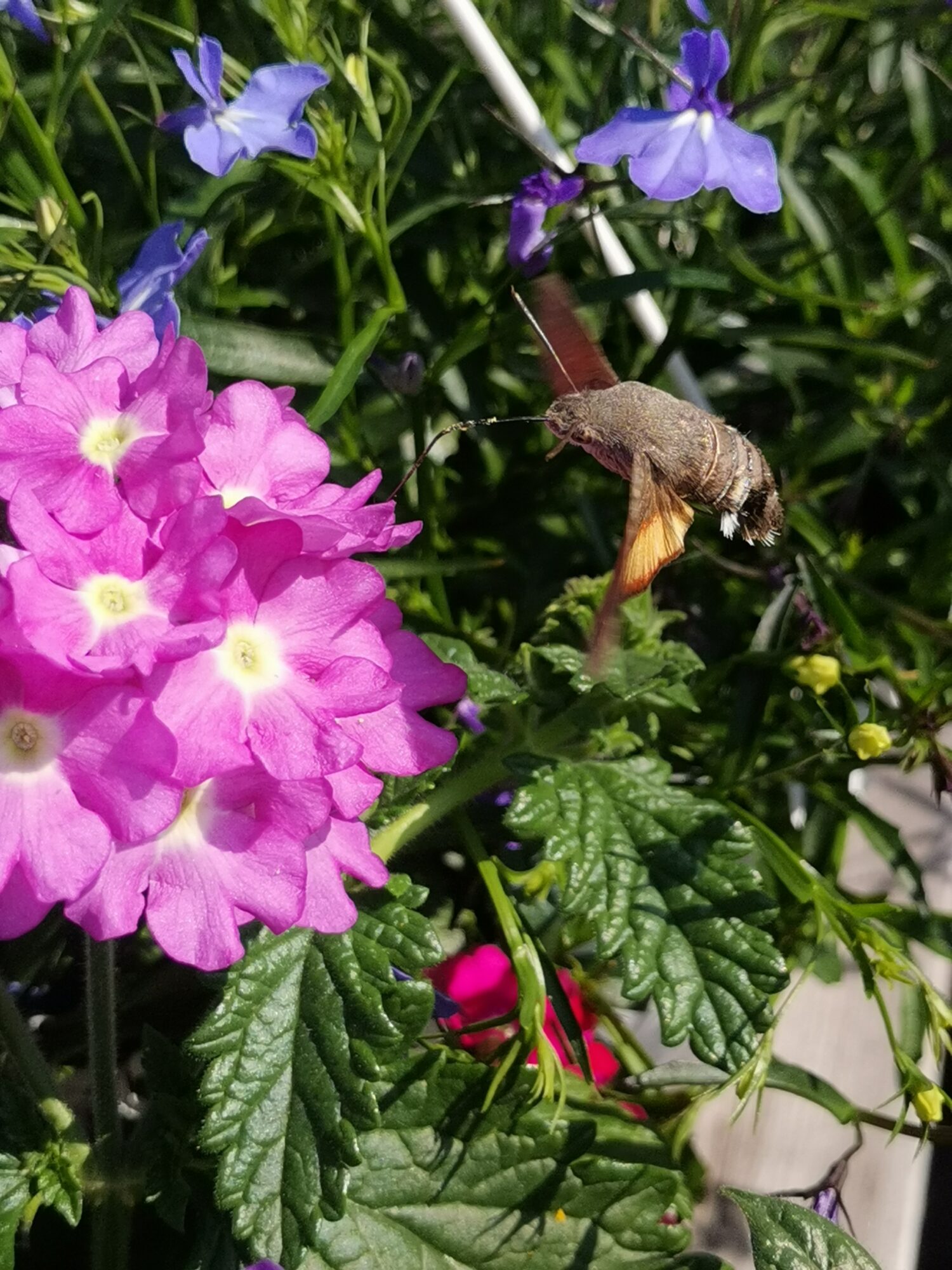 Valokuvaaja: Riikka Juola