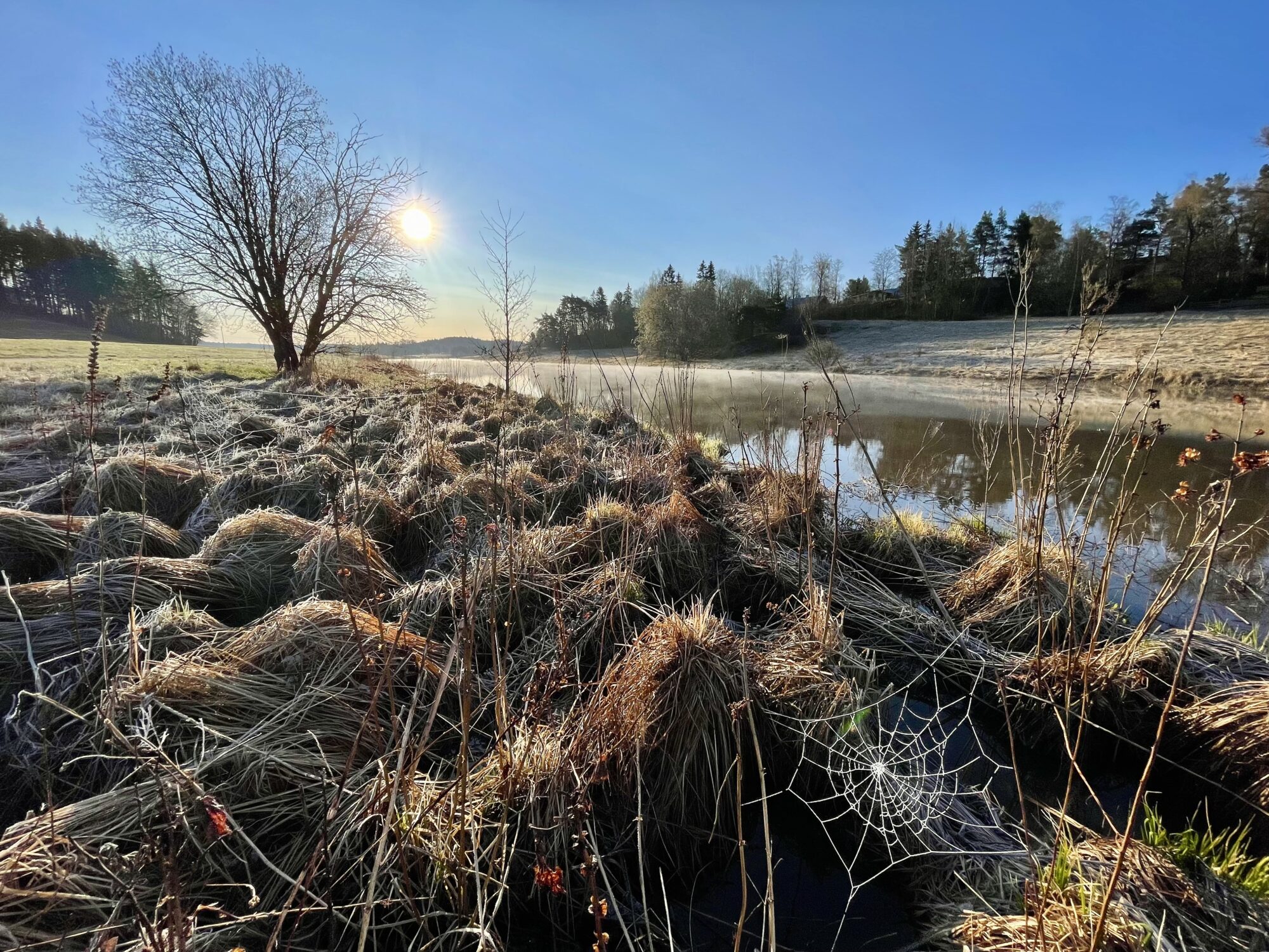 Valokuvaaja: Juhani Peltonen