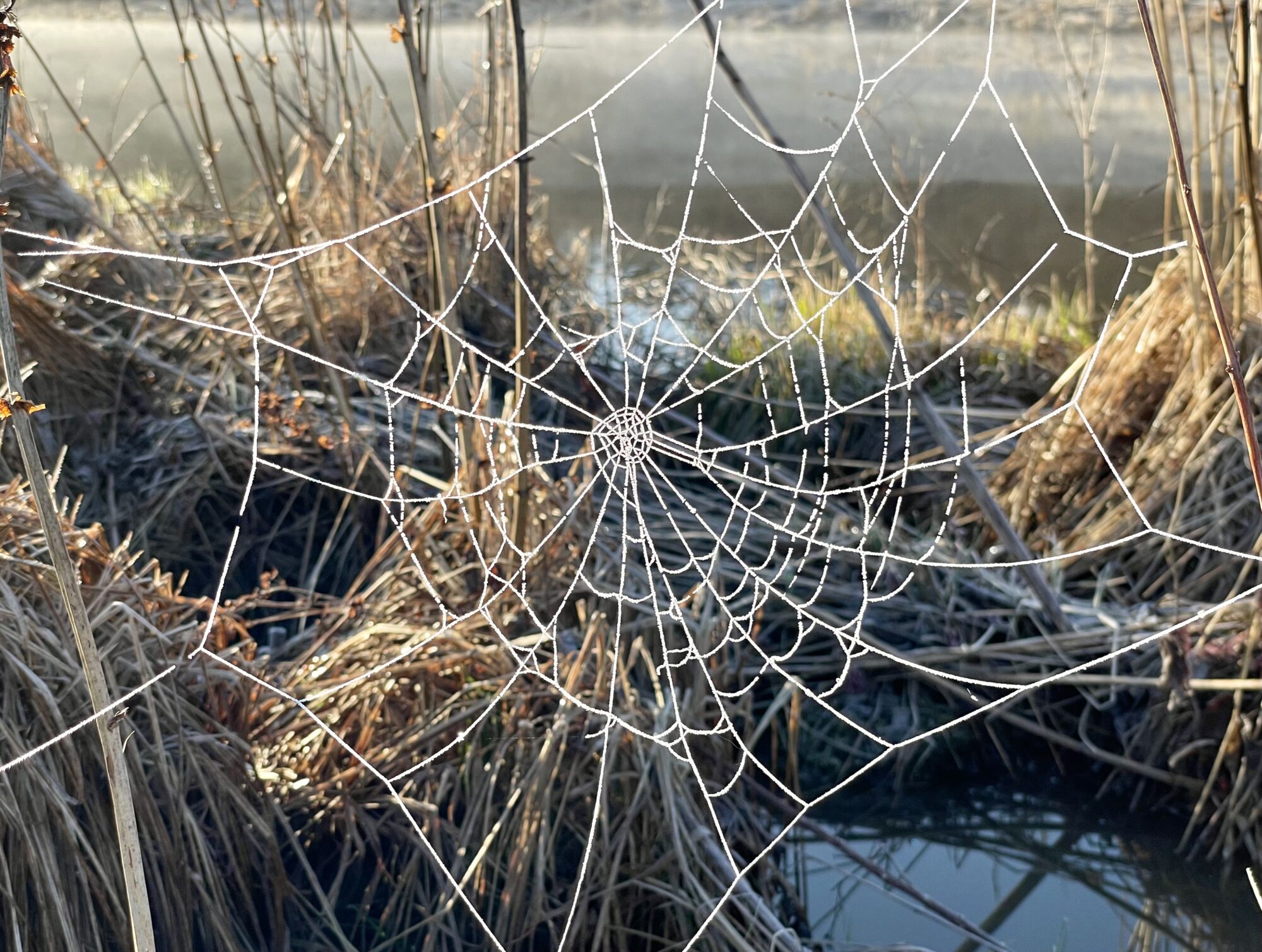 Valokuvaaja: Juhani Peltonen