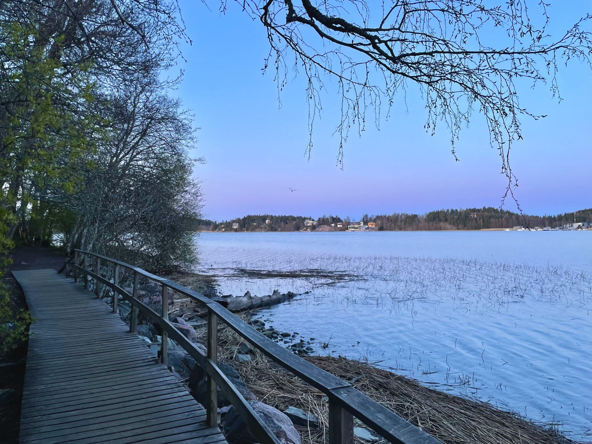 Valokuvaaja: Juhani Peltonen