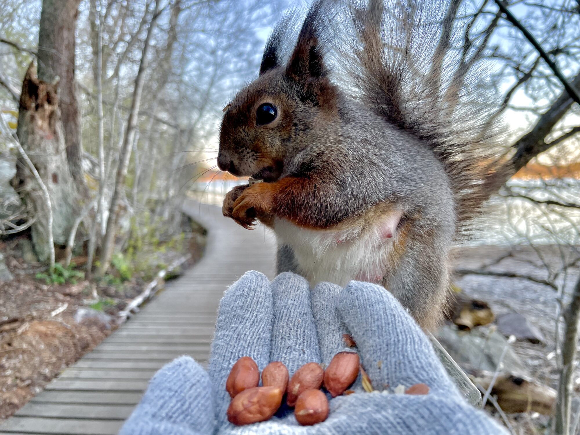 Valokuvaaja: Juhani Peltonen