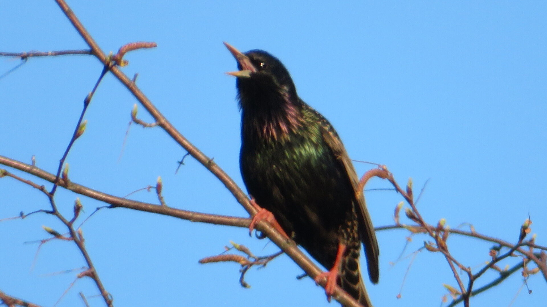 Valokuvaaja: Risto Kangassalo