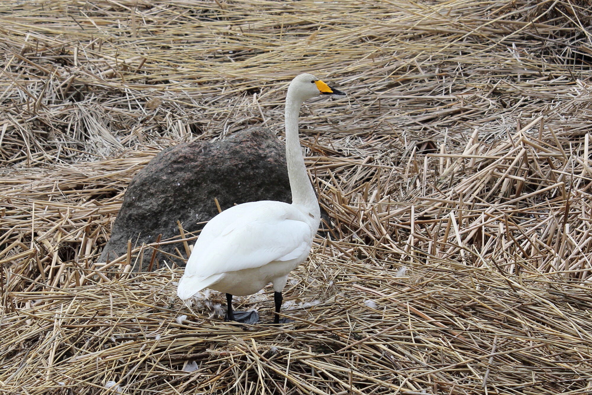 Valokuvaaja: Kirsi-Marja Joenpolvi Valokuvaaja: Kirsi-Marja Joenpolvi