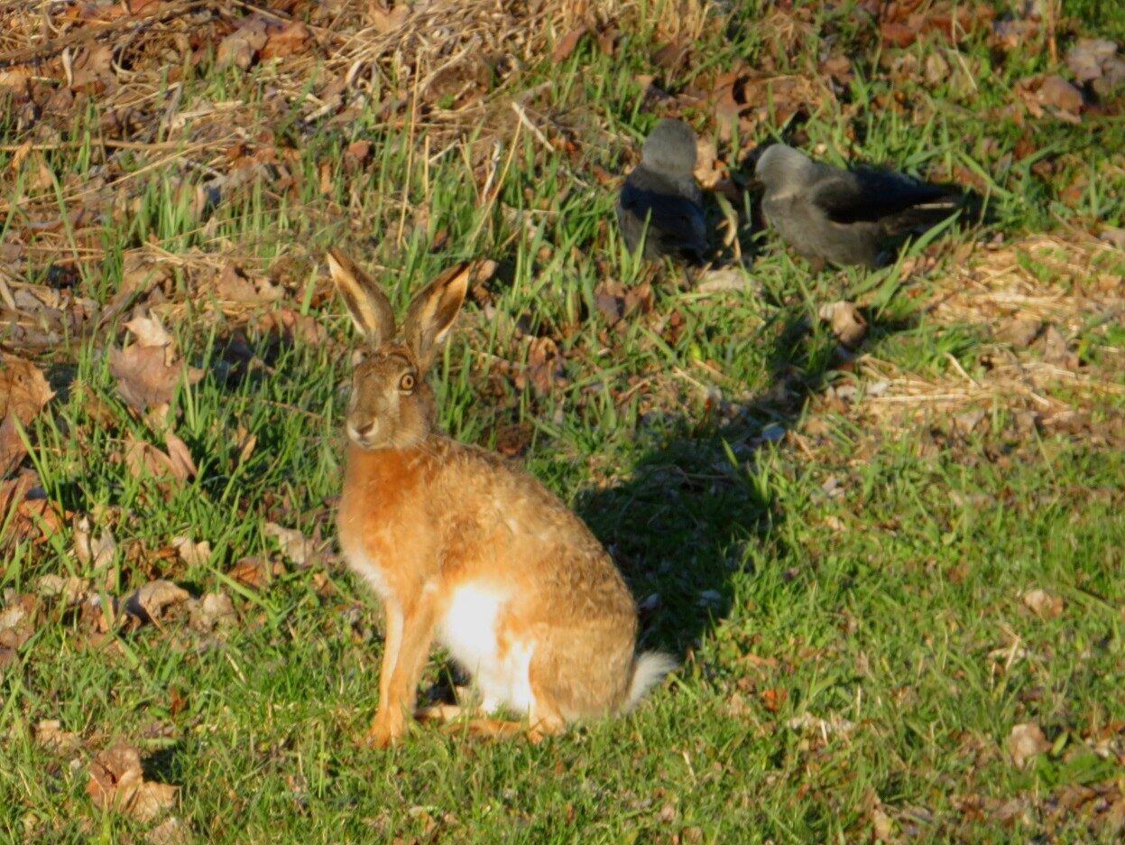 Valokuvaaja: Risto Kangassalo