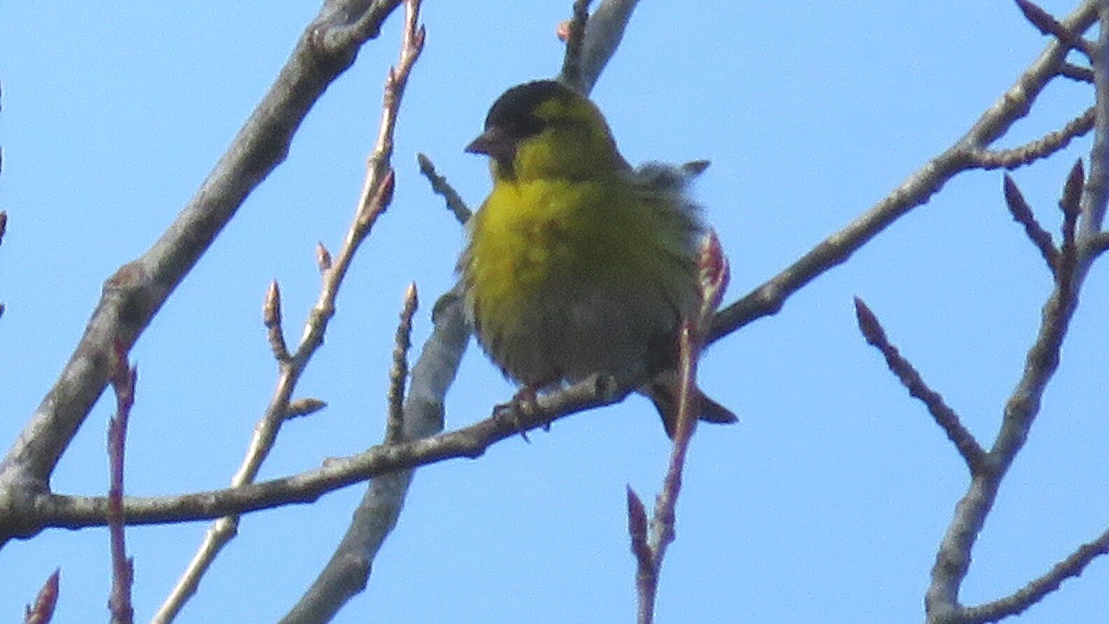 Valokuvaaja: Risto Kangassalo