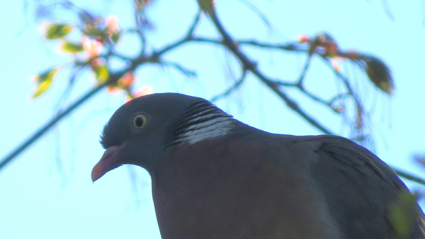 Valokuvaaja: Risto Kangassalo