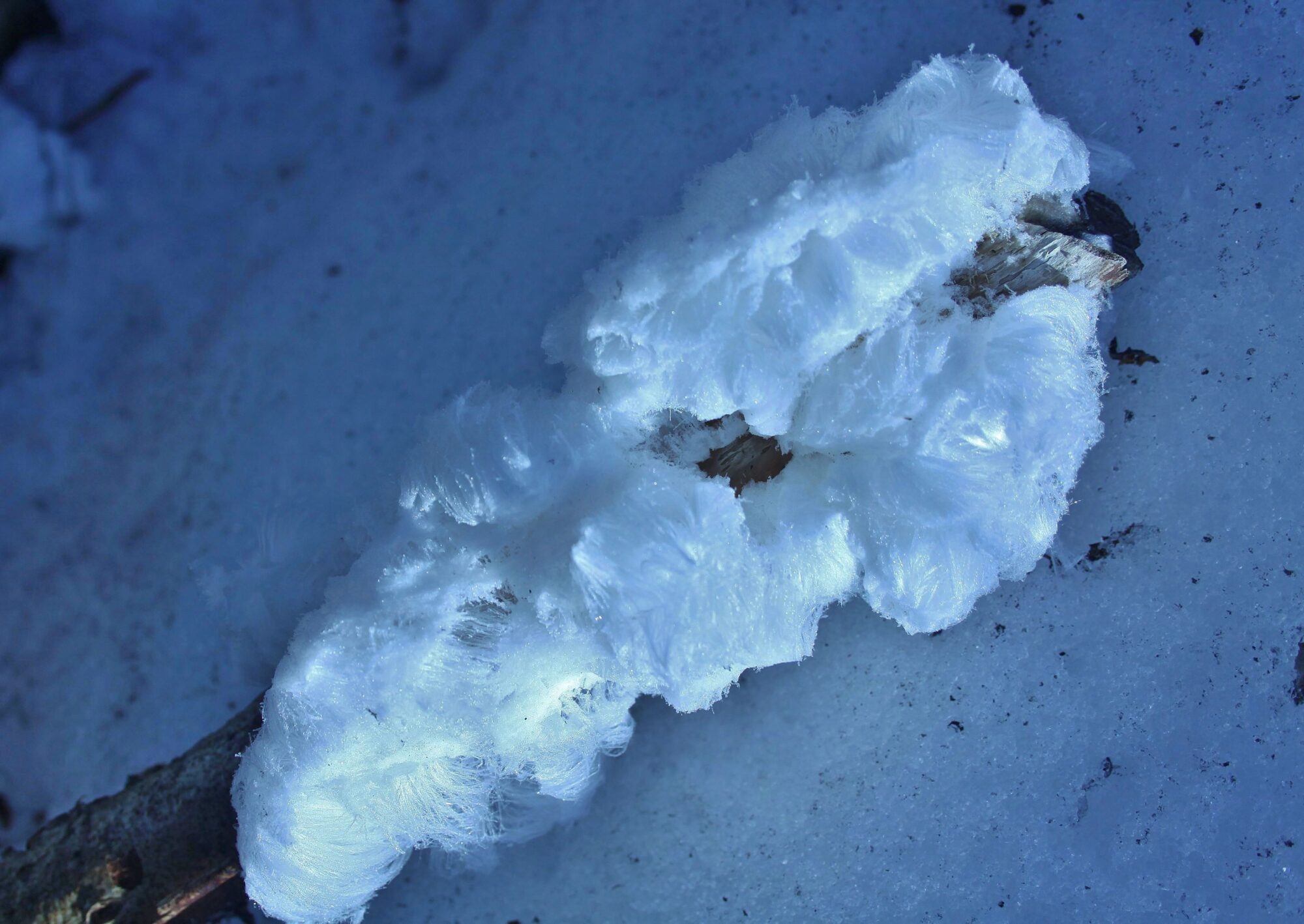 Valokuvaaja: Pirkko Siukonen Valokuvaaja: Pirkko Siukonen