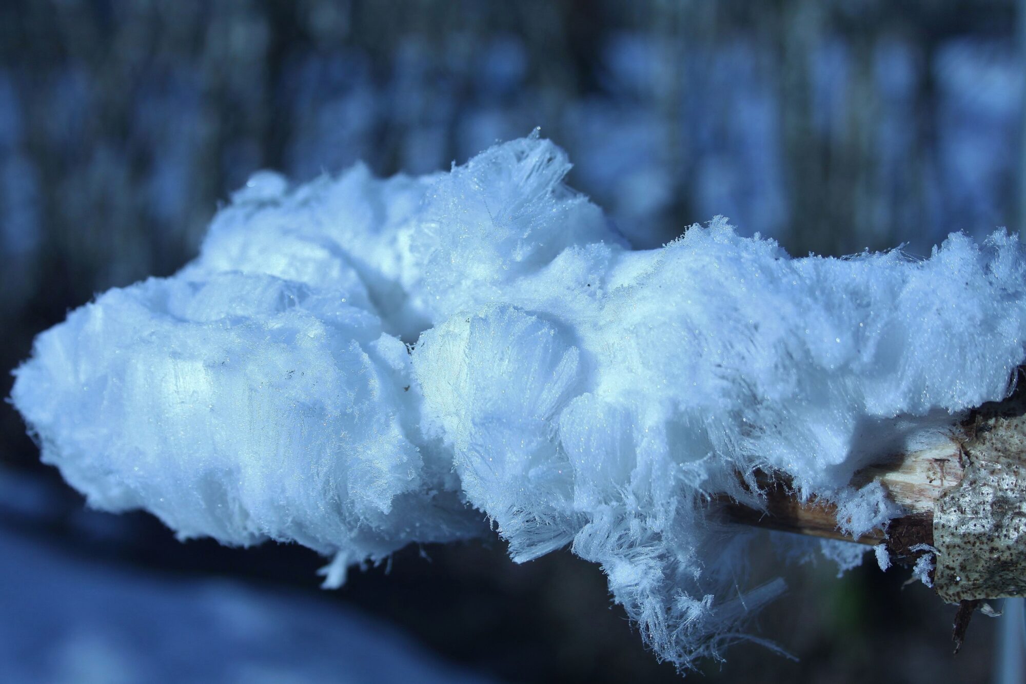 Valokuvaaja: Pirkko Siukonen