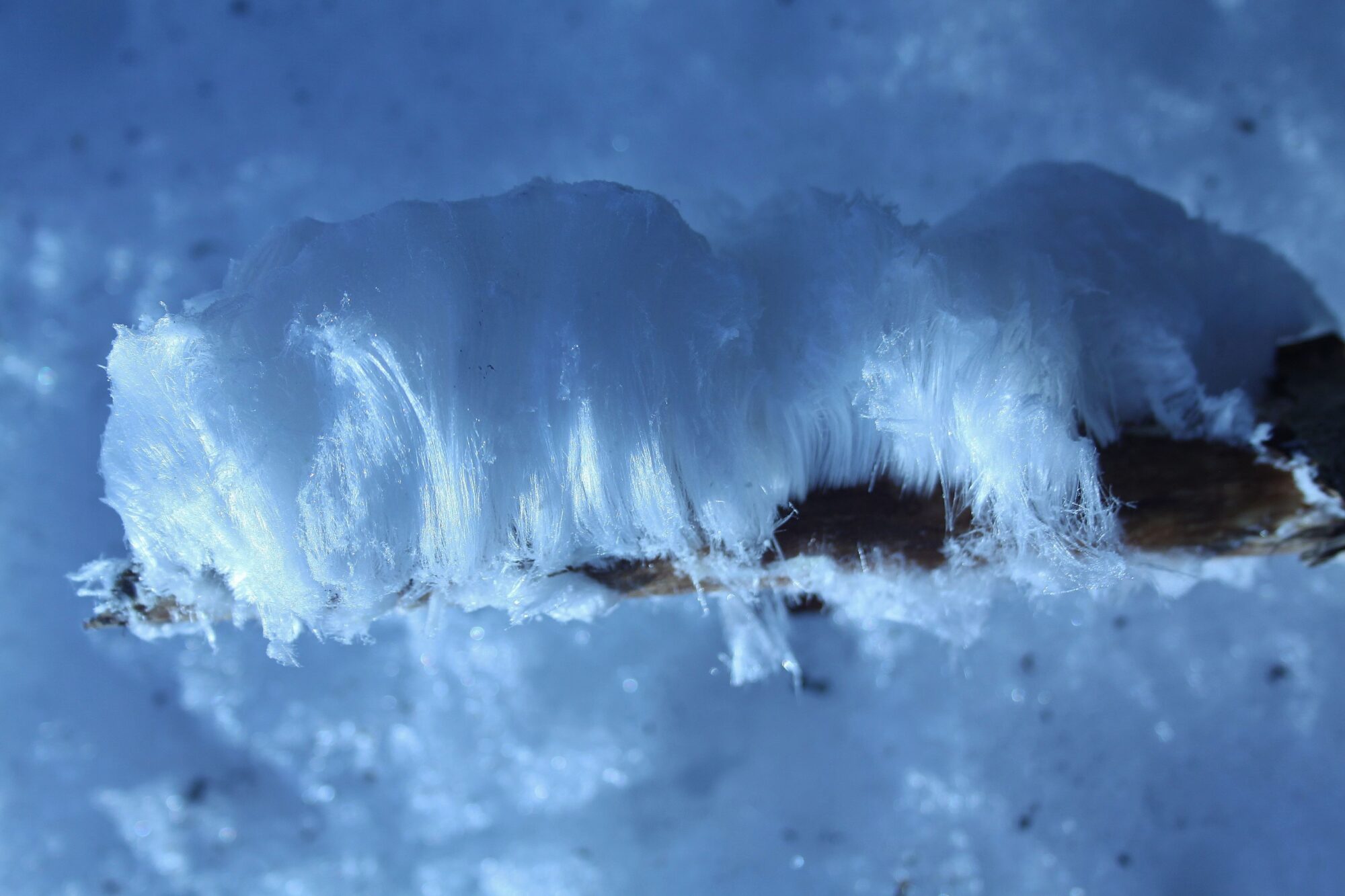 Valokuvaaja: Pirkko Siukonen