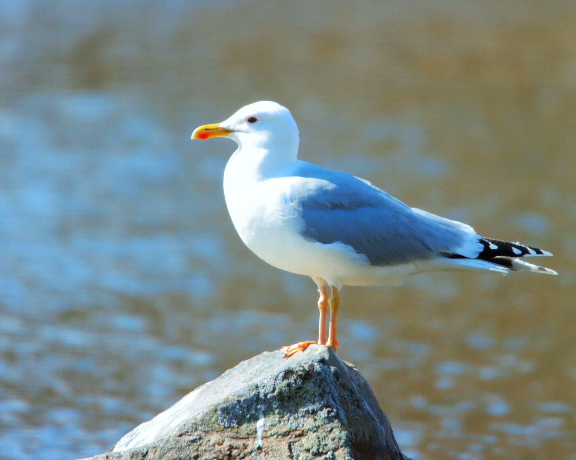 Valokuvaaja: Irja Lehtinen