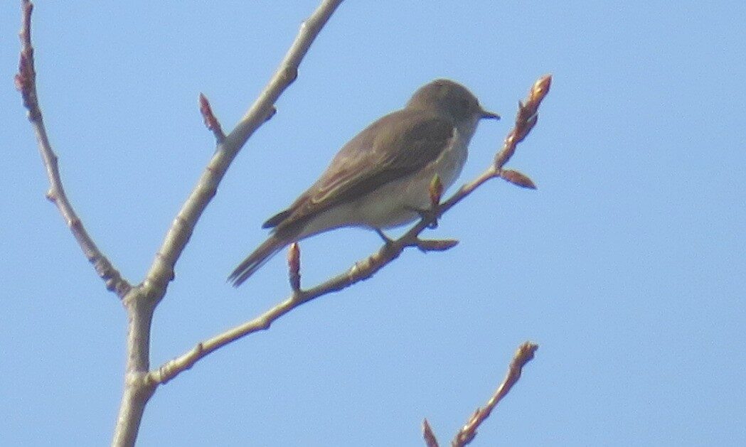 Valokuvaaja: Risto Kangassalo