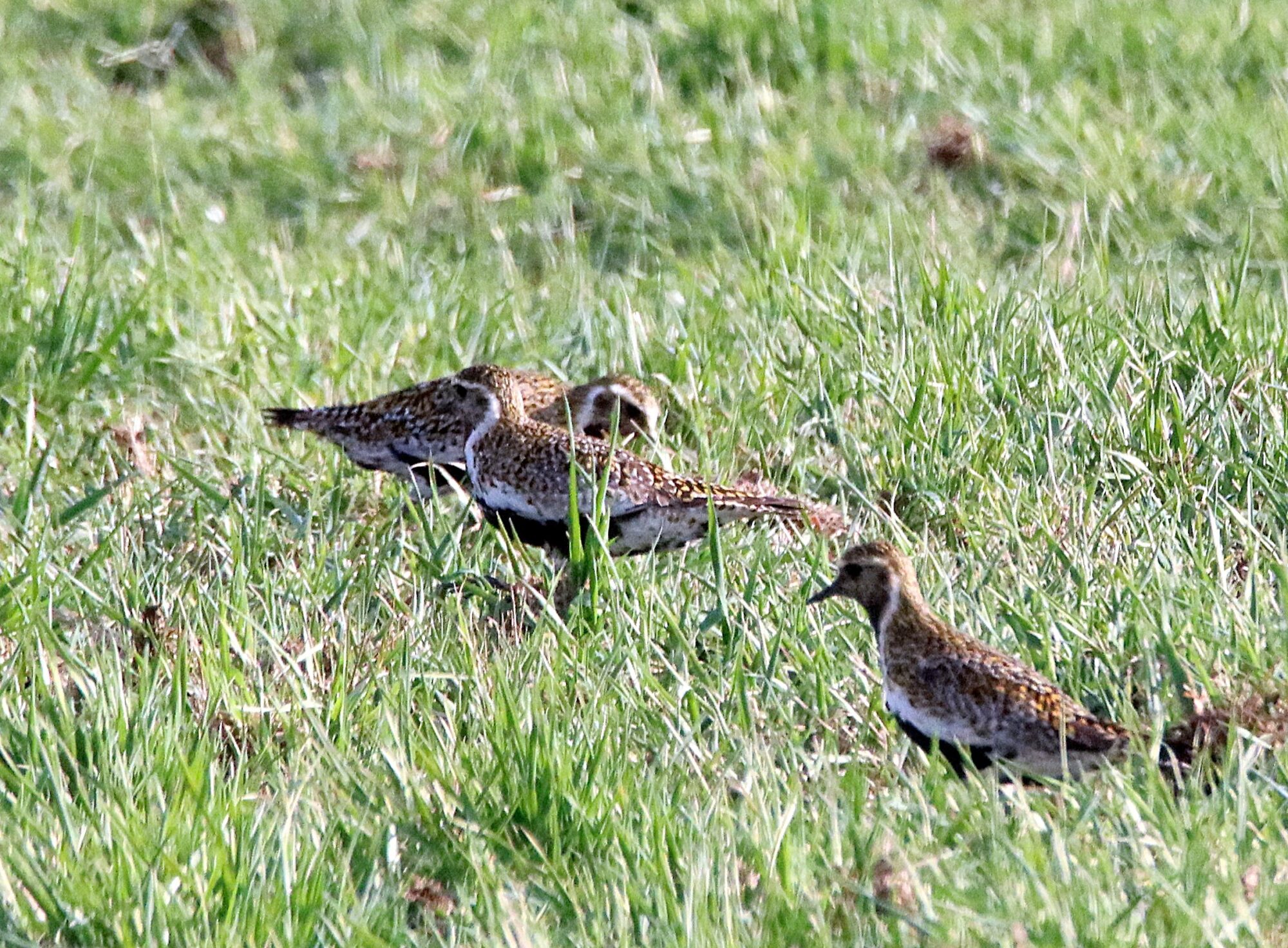 Valokuvaaja: Irja Lehtinen