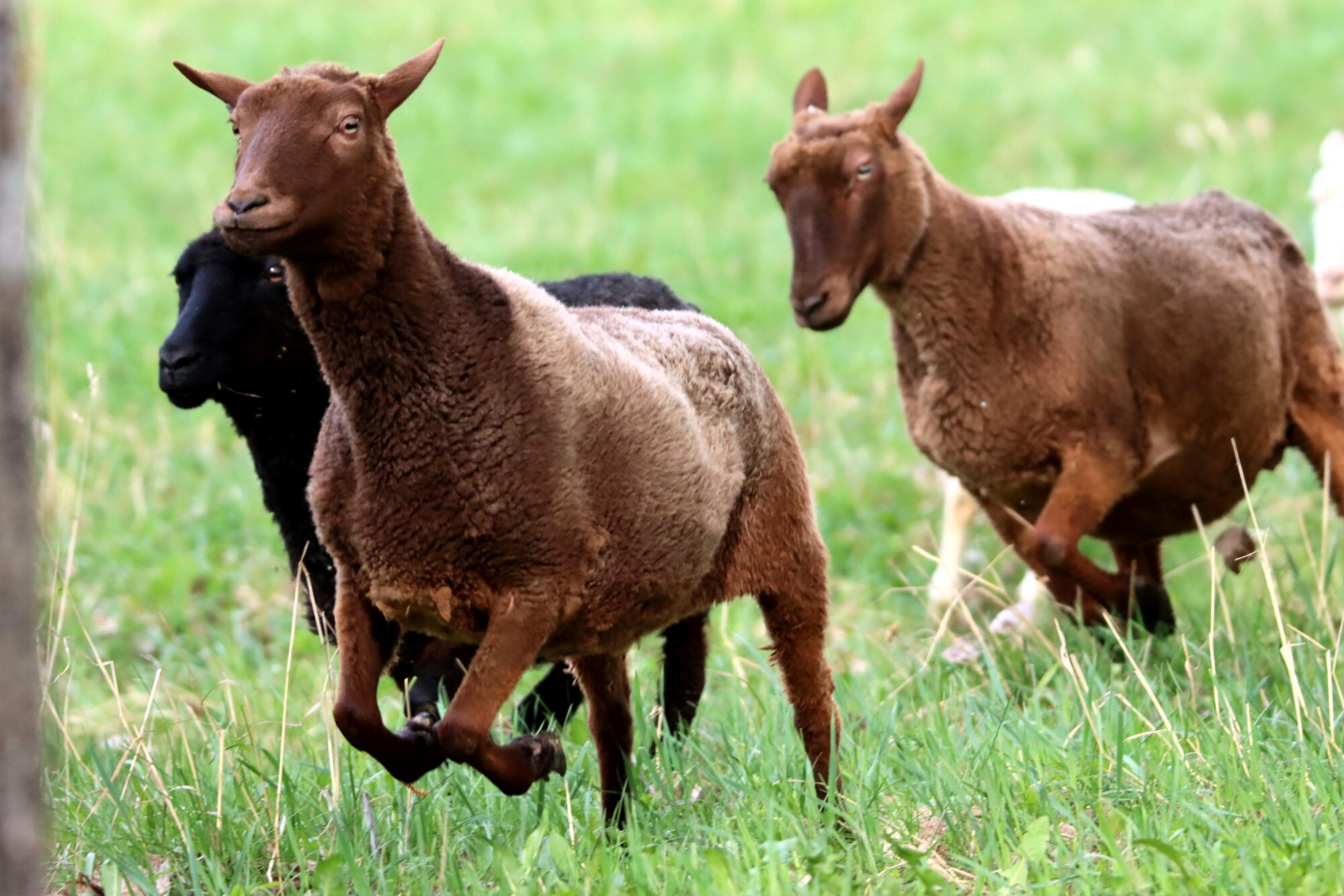 Valokuvaaja: Irja Lehtinen