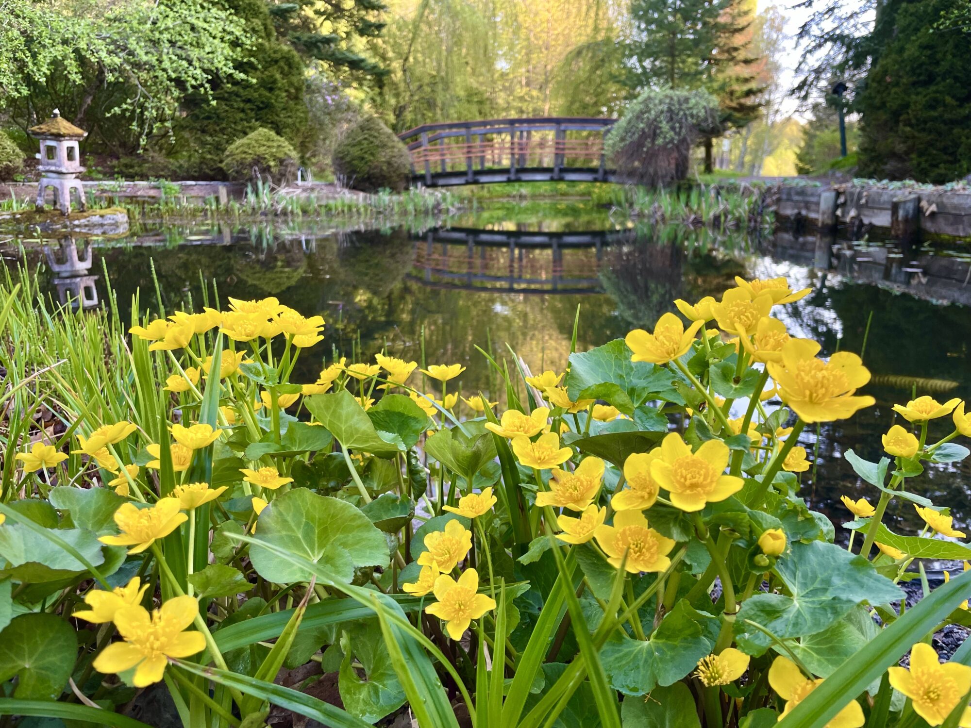 Valokuvaaja: Juhani Peltonen