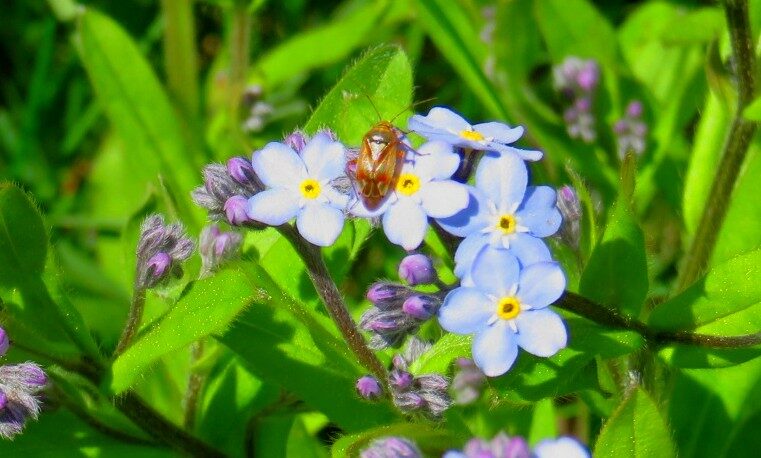 Valokuvaaja: Risto Kangassalo
