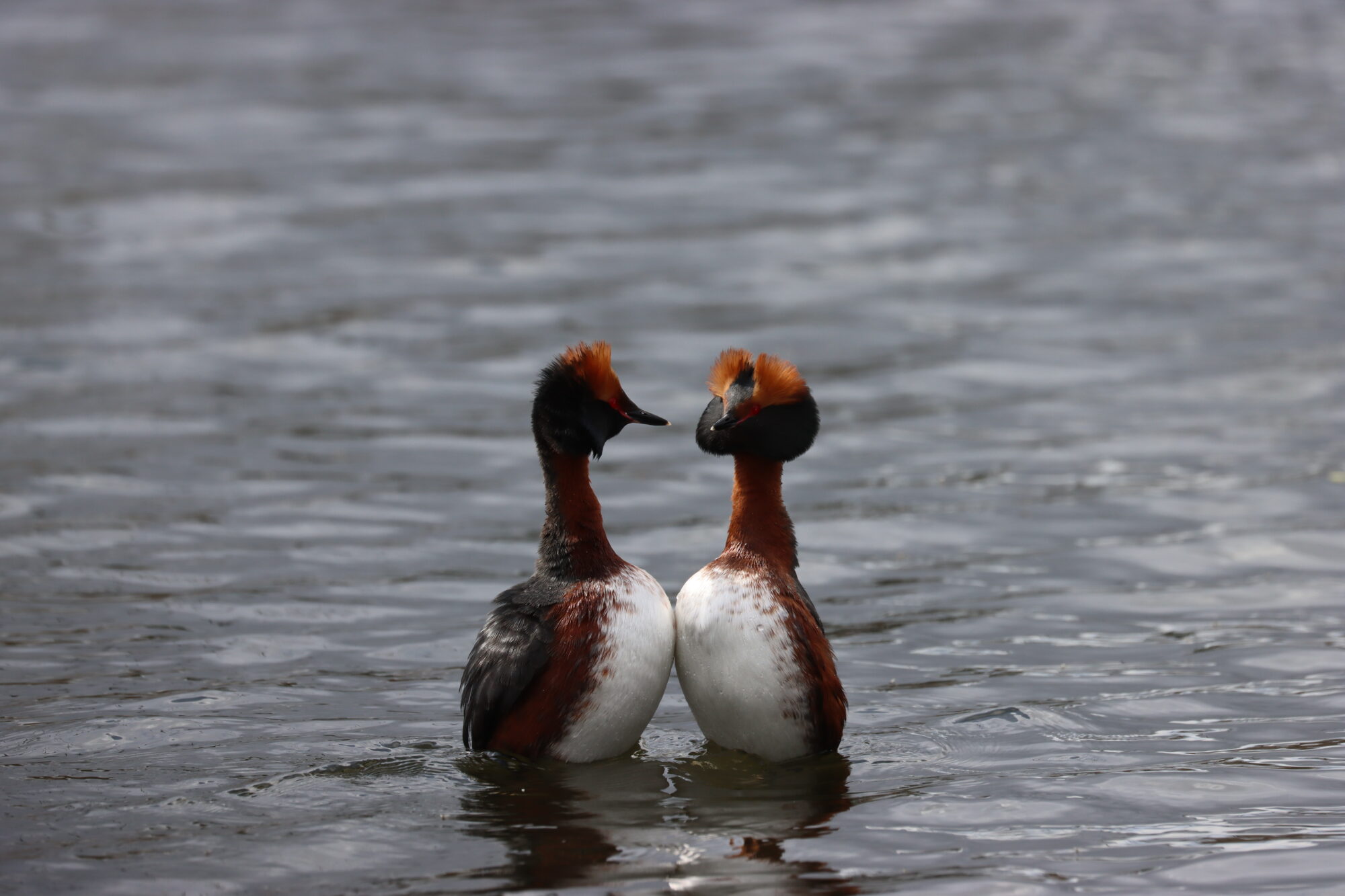 Valokuvaaja: Susanna Hannula