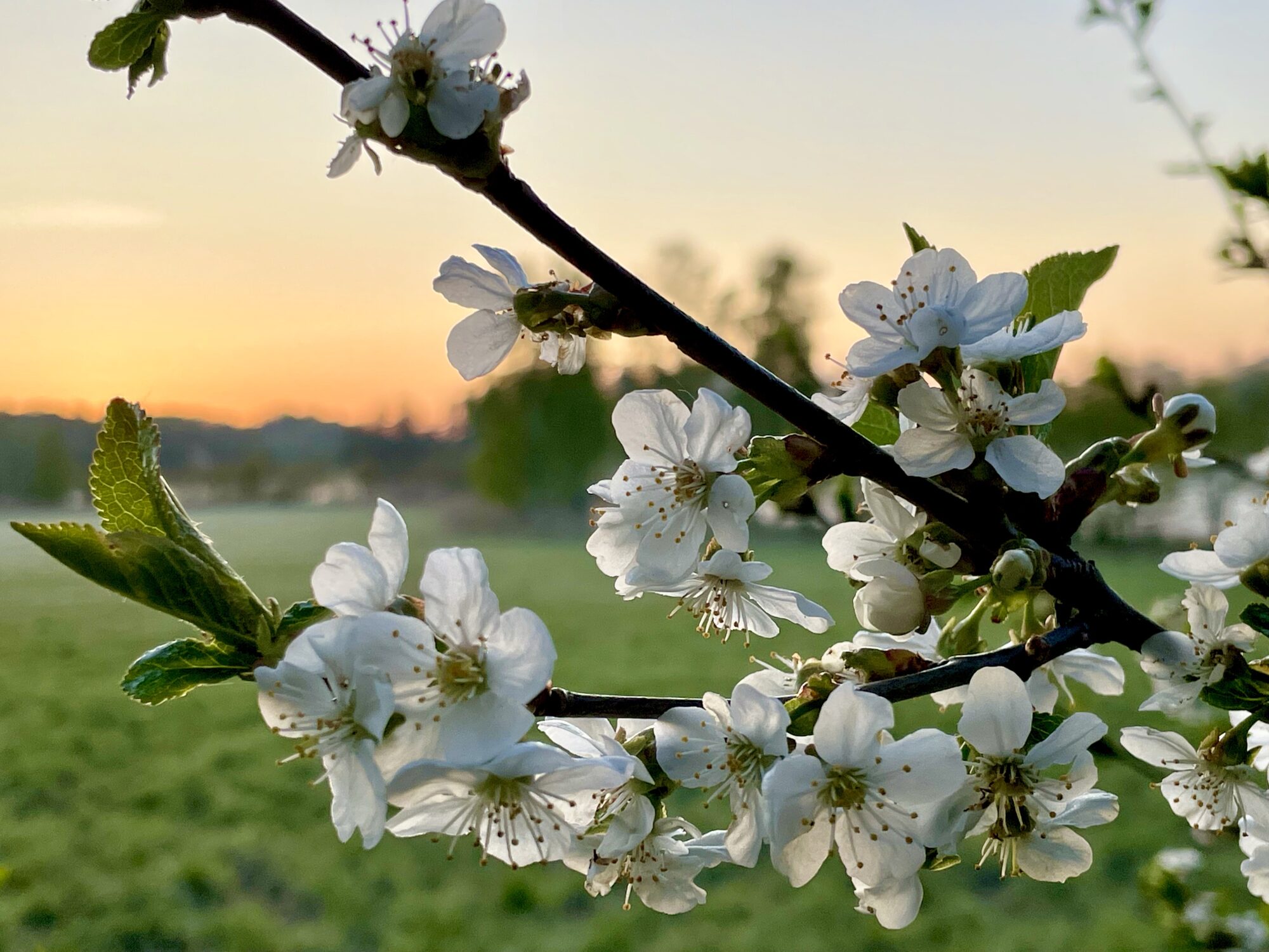 Valokuvaaja: Juhani Peltonen