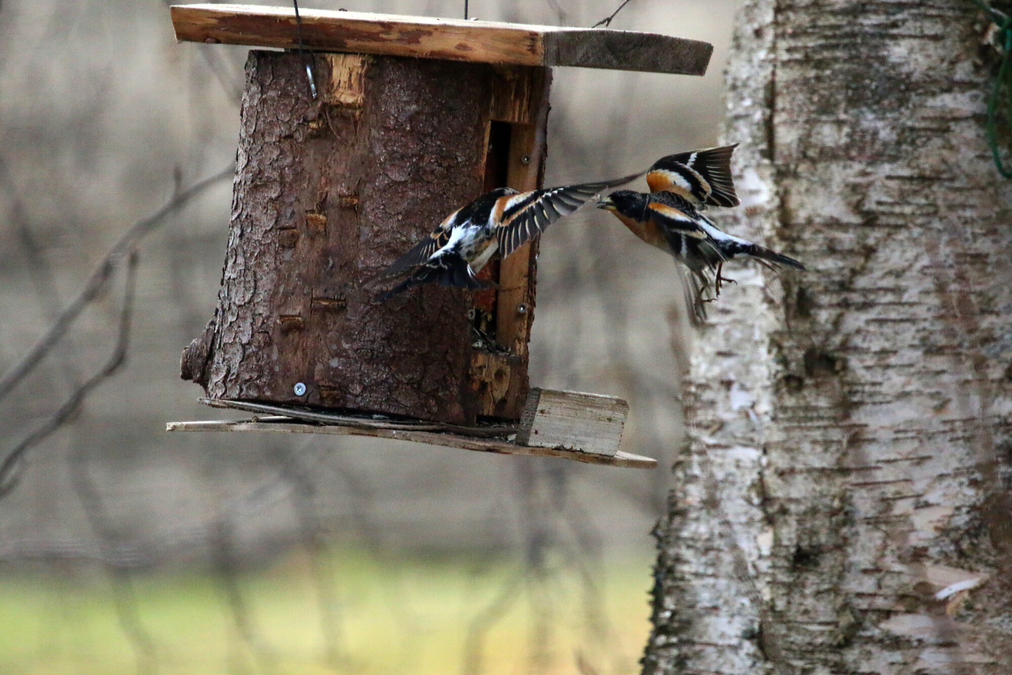 Valokuvaaja: Antero Tykkyläinen