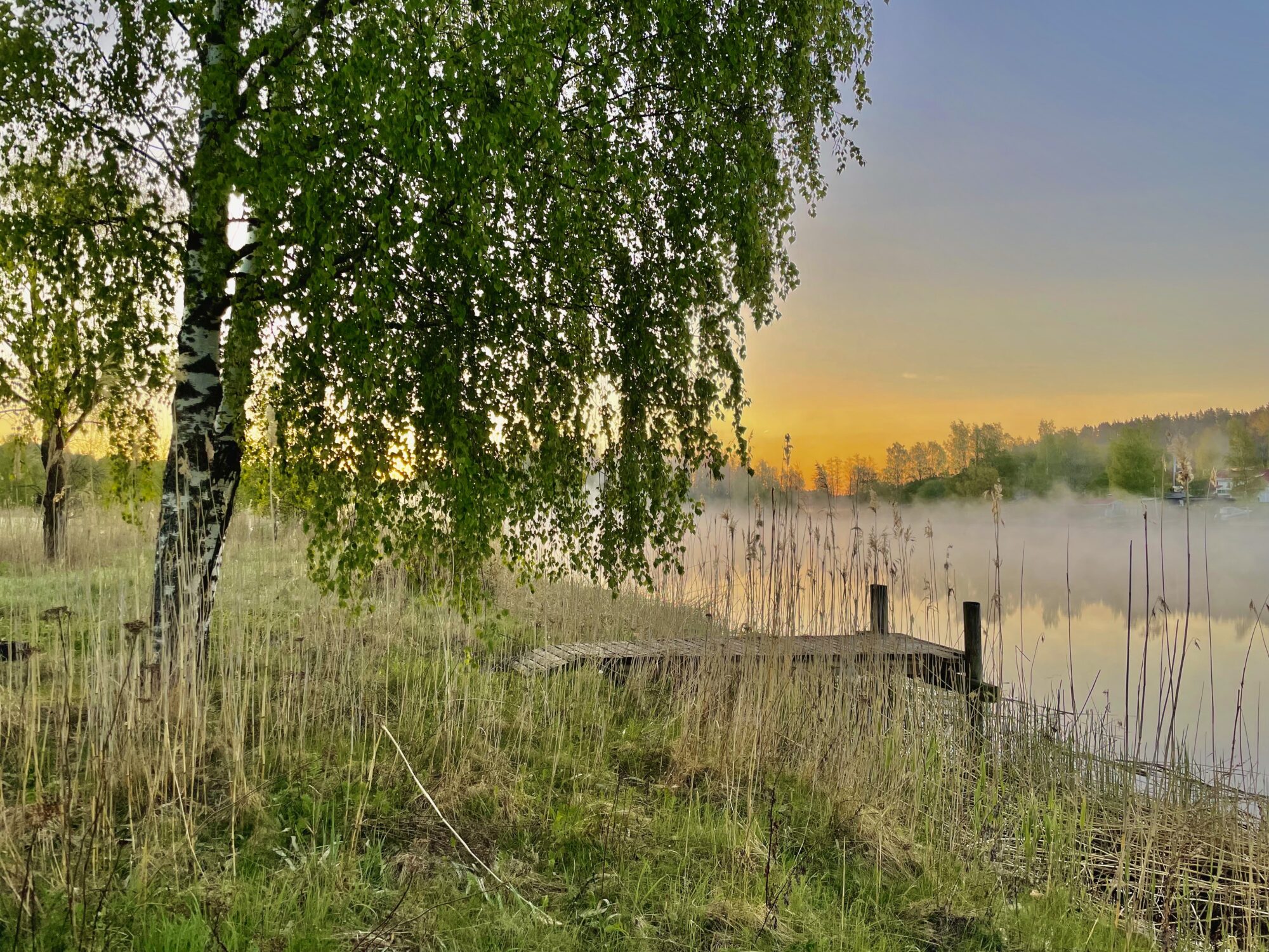 Valokuvaaja: Juhani Peltonen