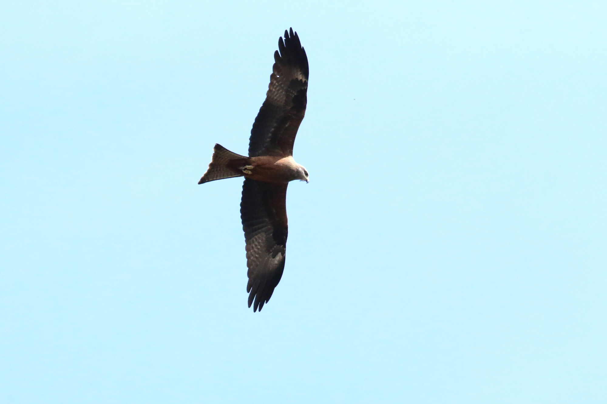Valokuvaaja: Antero Tykkyläinen