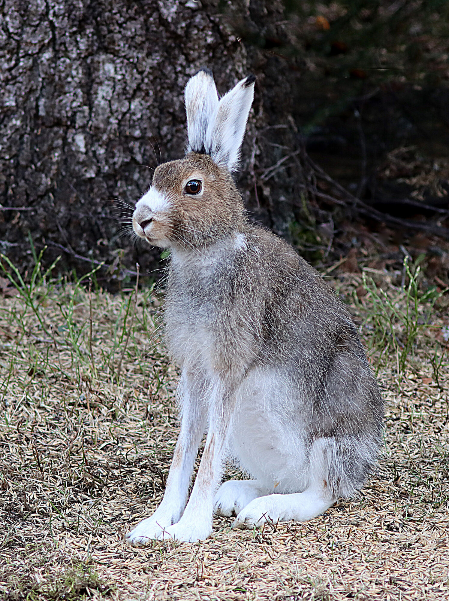 Valokuvaaja: Hannu Rasiranta