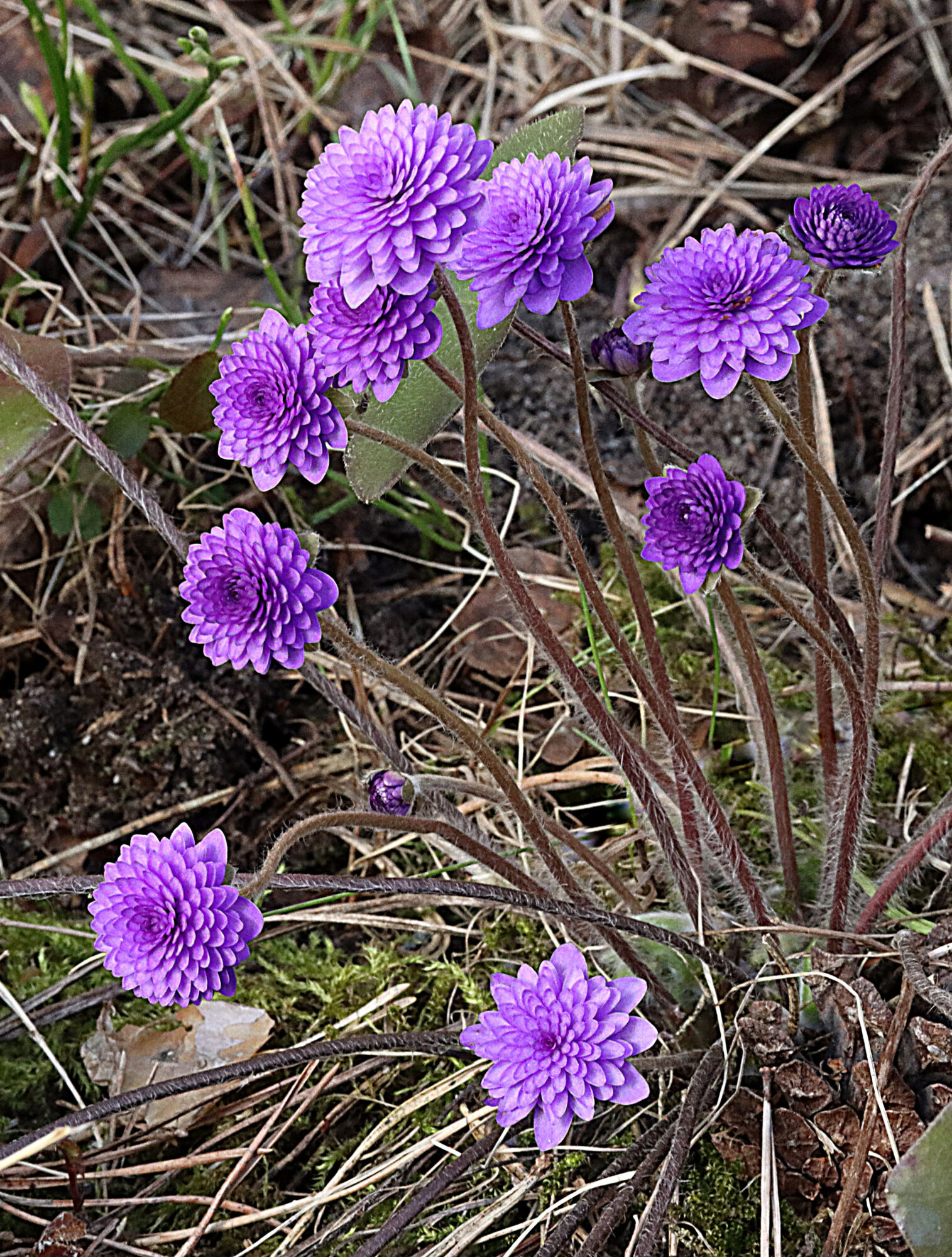 Valokuvaaja: Hannu Rasiranta
