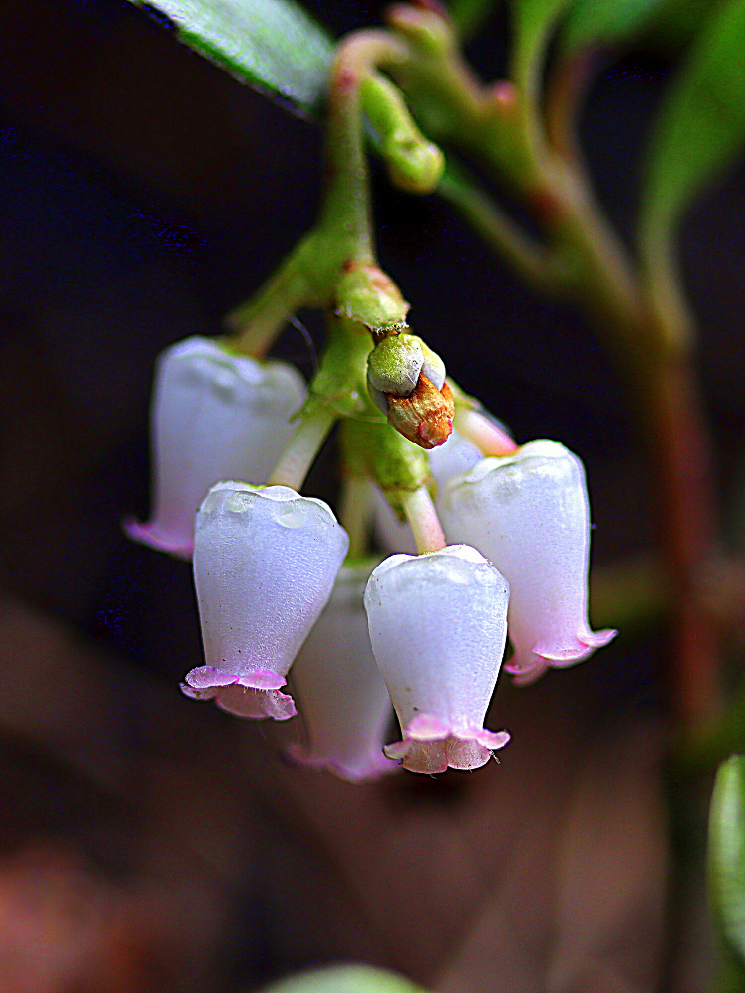 Valokuvaaja: Hannu Rasiranta