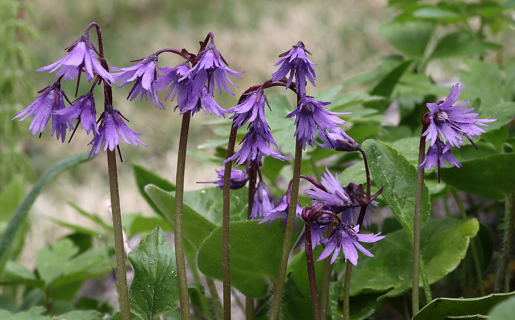 Valokuvaaja: Hannu Rasiranta