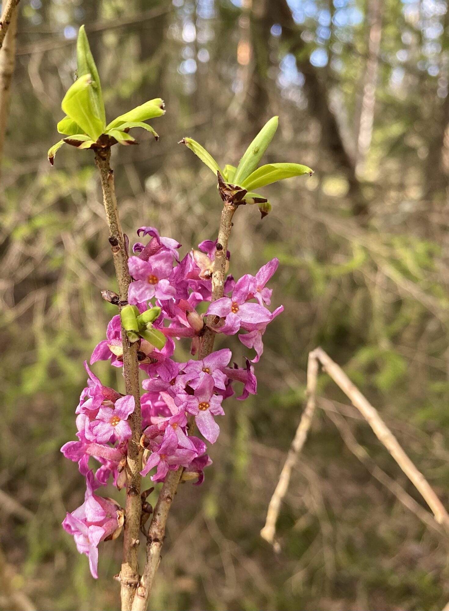 Valokuvaaja: Markku Ranta-Eilola