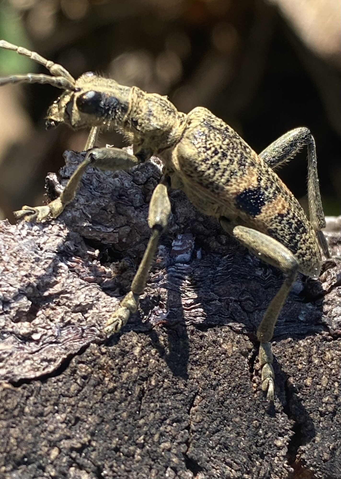 Valokuvaaja: Markku Ranta-Eilola