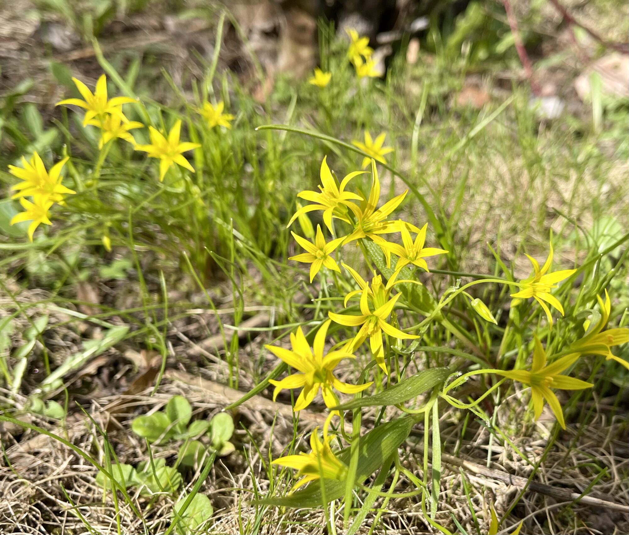 Valokuvaaja: Liisa Niiva-Korpela