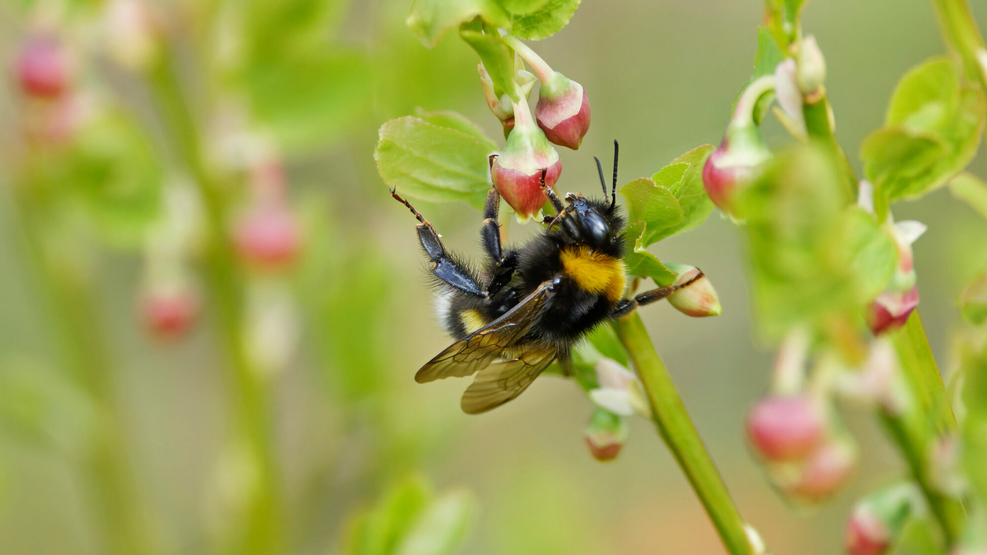 Valokuvaaja: TOMMI KUJALA Valokuvaaja: TOMMI KUJALA