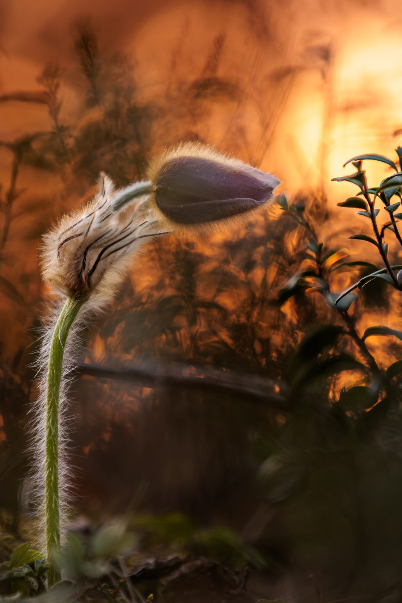 Valokuvaaja: Antti Toivanen