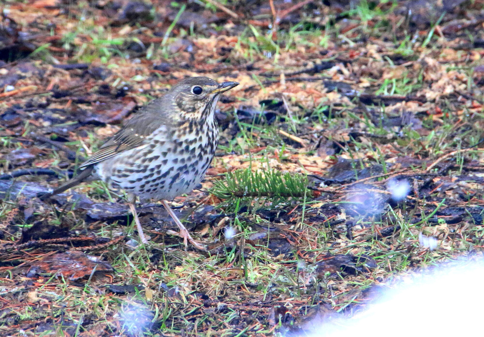 Valokuvaaja: Tuukka Pahtamaa