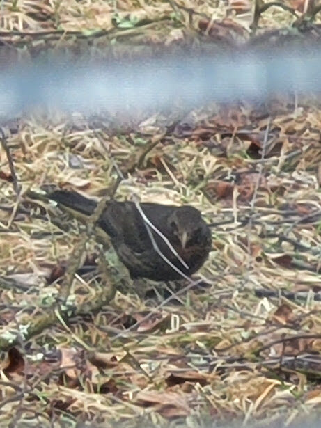 Valokuvaaja: Jari Kallio Valokuvaaja: Jari Kallio