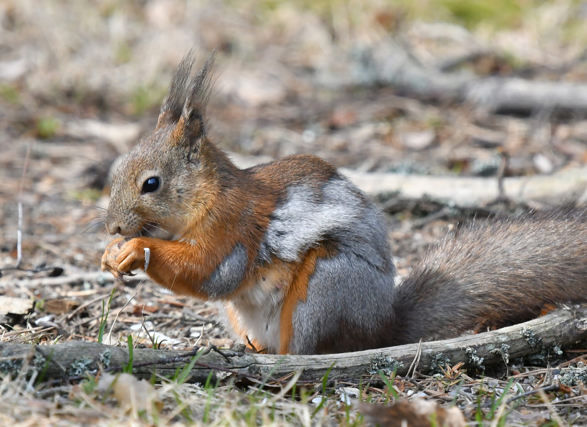 Valokuvaaja: Matti Manninen
