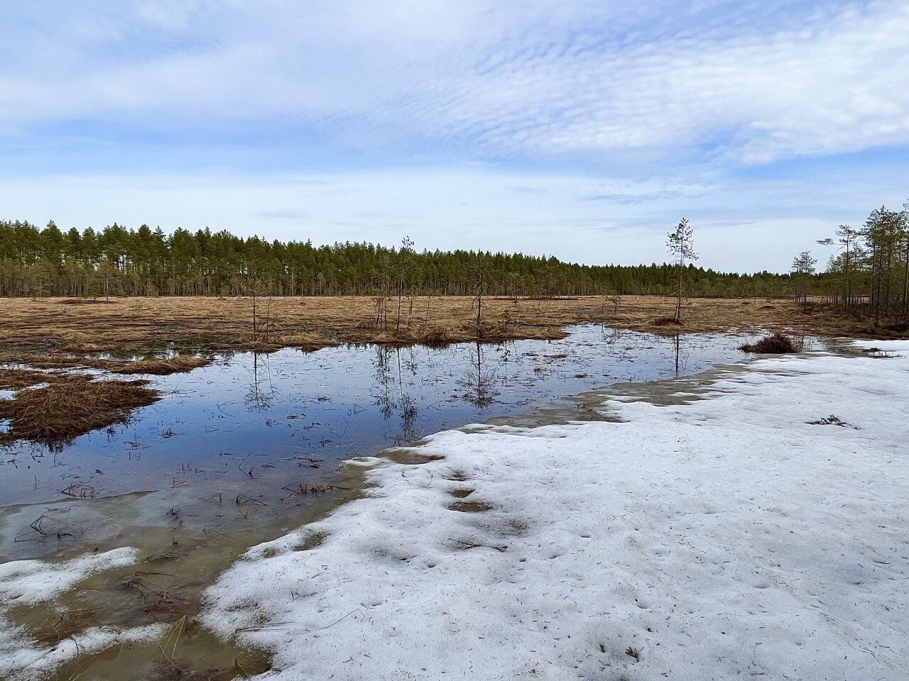 Valokuvaaja: Tuukka Pahtamaa Valokuvaaja: Tuukka Pahtamaa