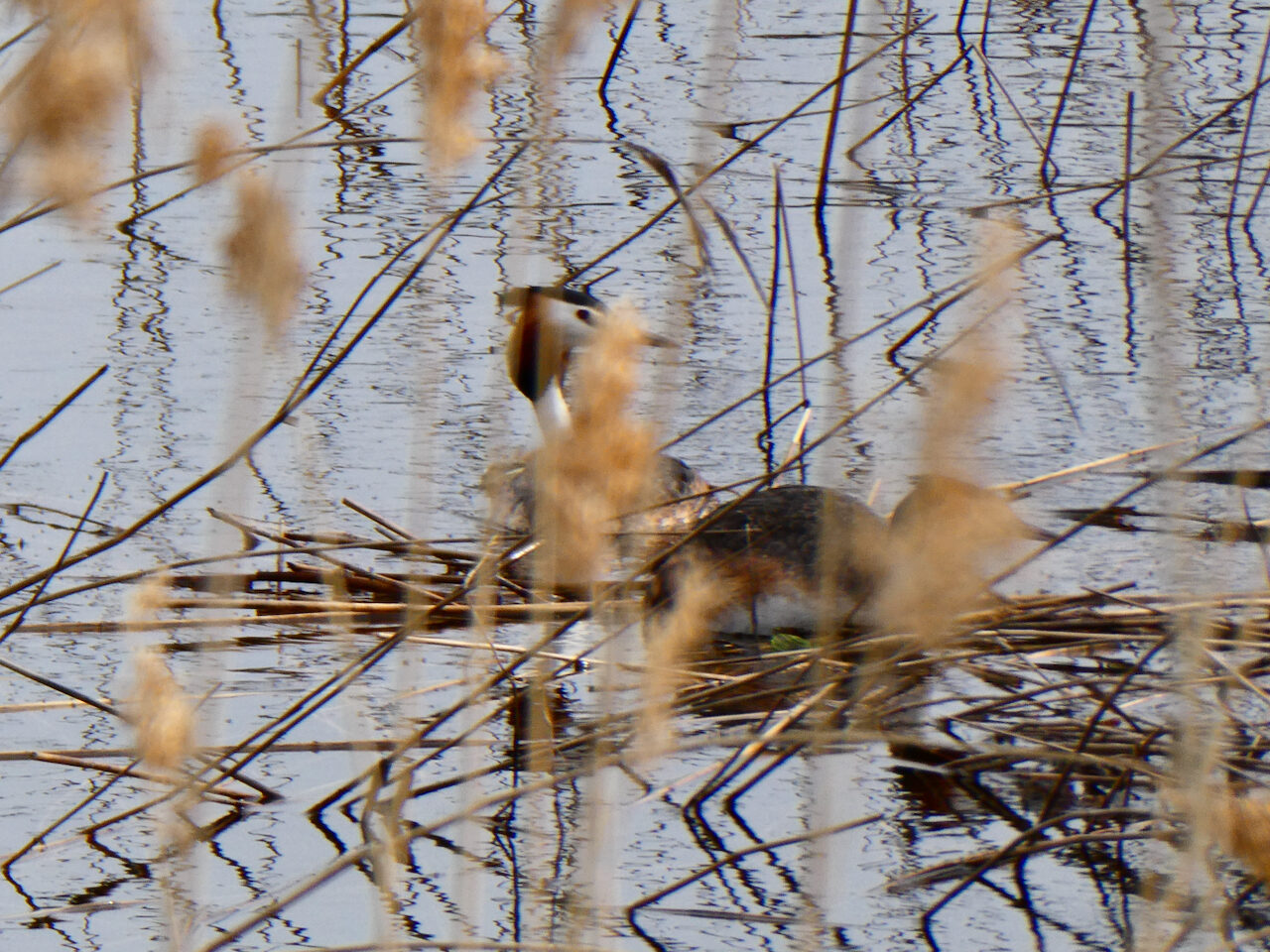 Valokuvaaja: Liisa Niiva-Korpela Valokuvaaja: Liisa Niiva-Korpela