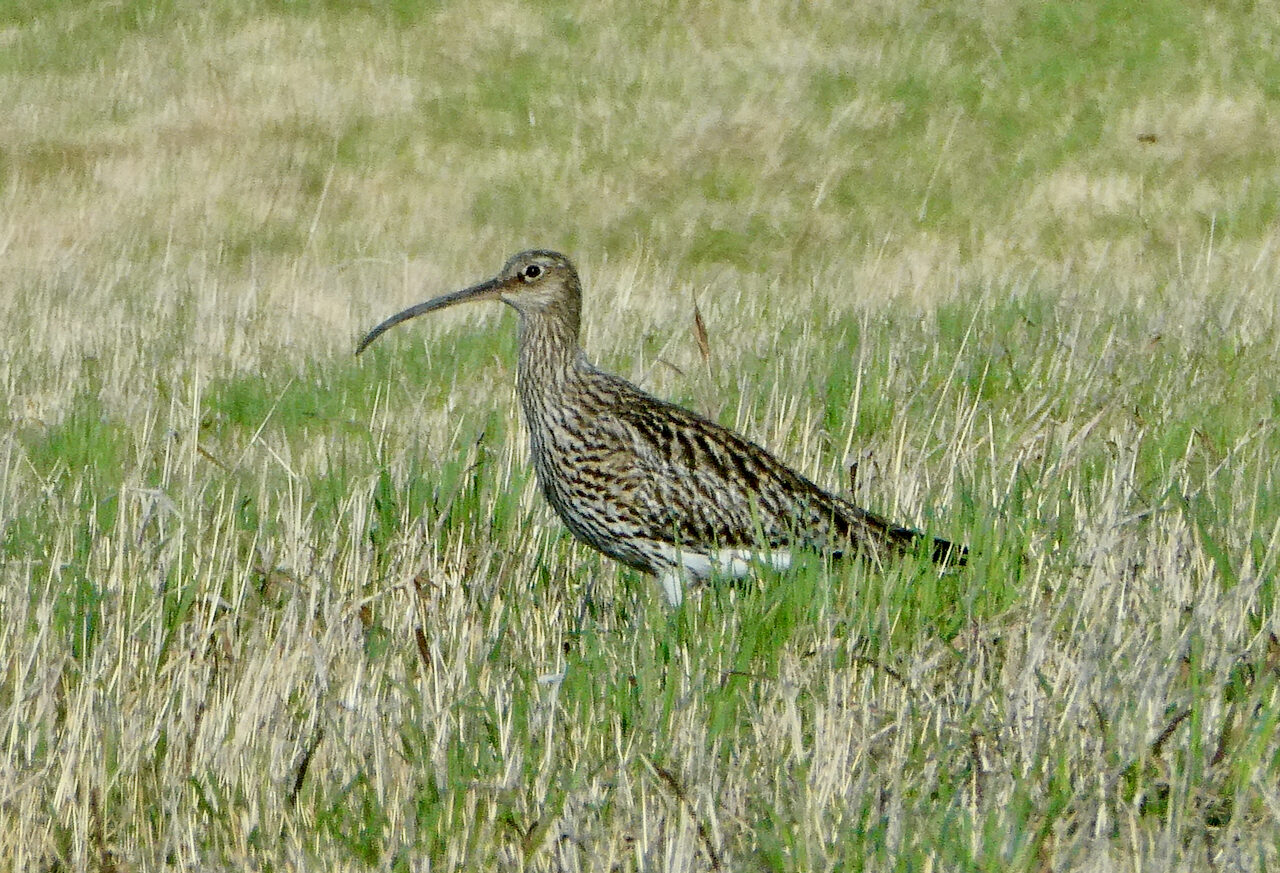 Valokuvaaja: Liisa Niiva-Korpela