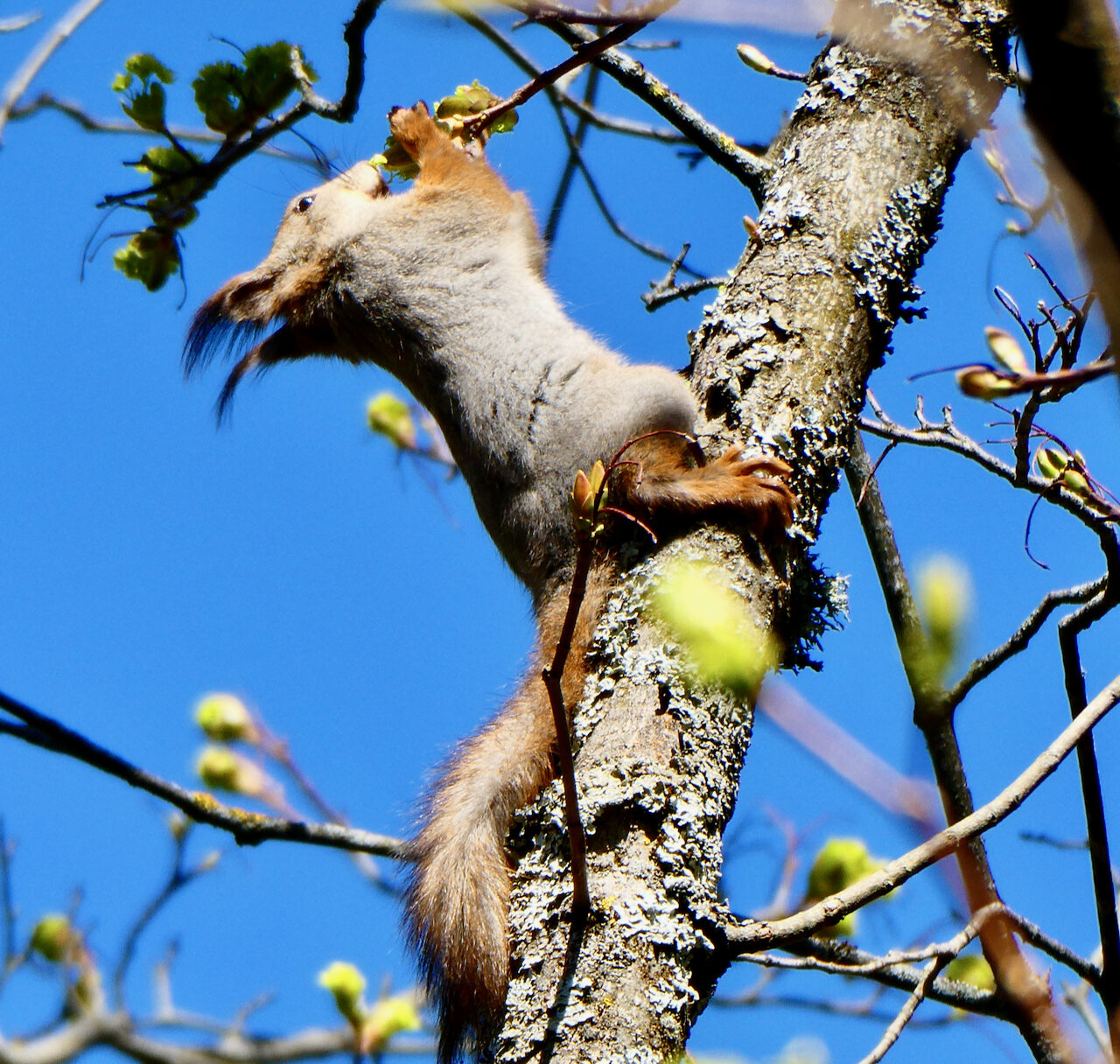Valokuvaaja: Liisa Niiva-Korpela
