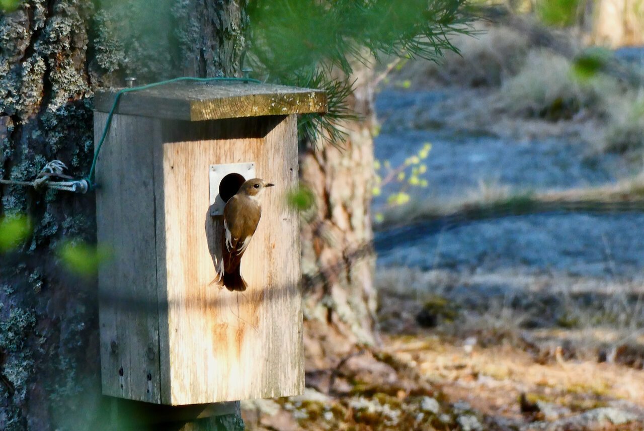 Valokuvaaja: Liisa Niiva-Korpela Valokuvaaja: Liisa Niiva-Korpela
