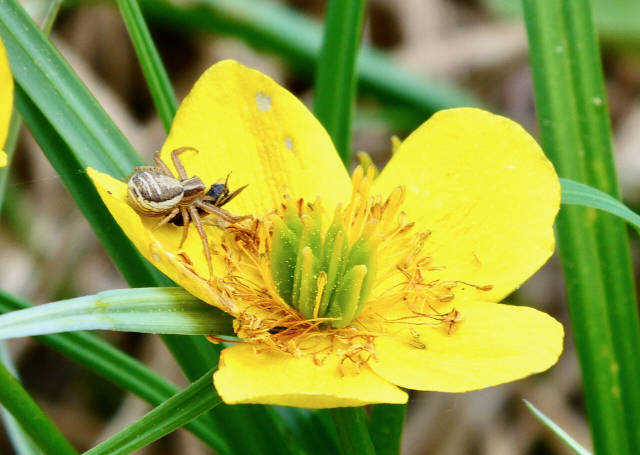 Valokuvaaja: Liisa Niiva-Korpela