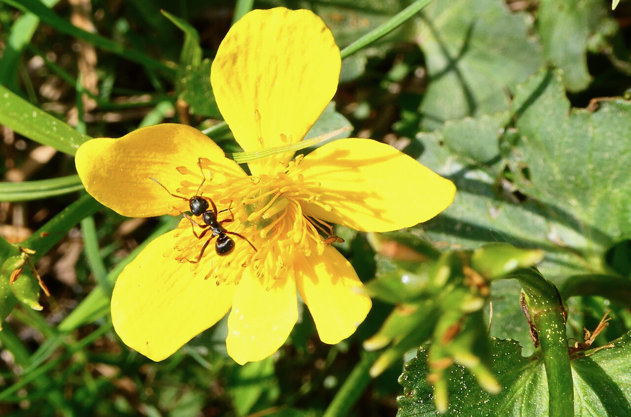 Valokuvaaja: Liisa Niiva-Korpela
