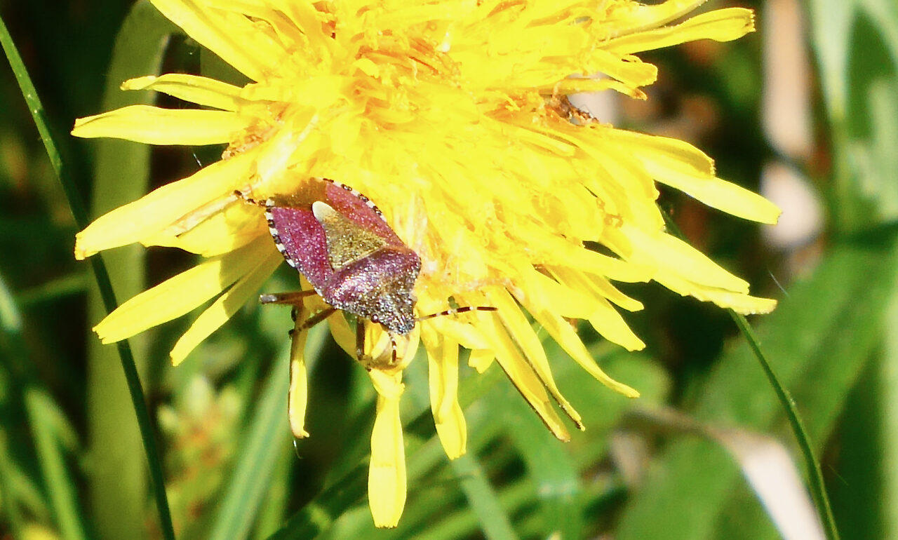 Valokuvaaja: Liisa Niiva-Korpela