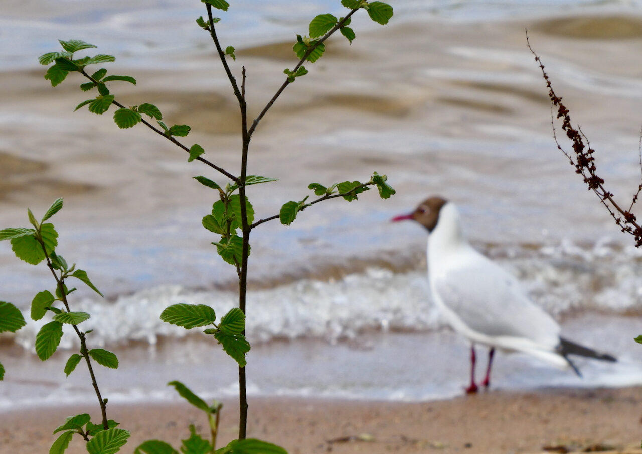 Valokuvaaja: Liisa Niiva-Korpela