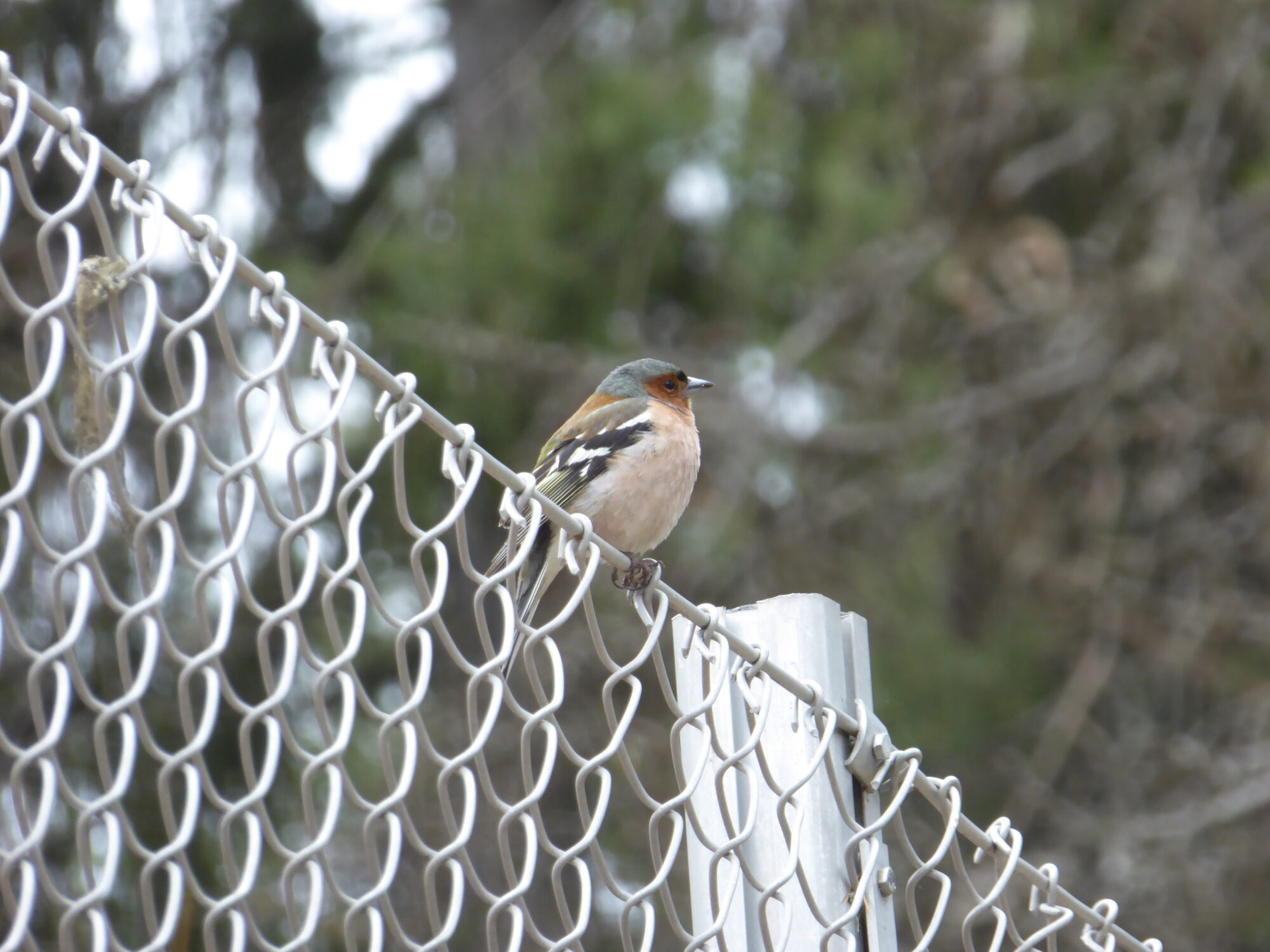 Valokuvaaja: Toni Asikainen